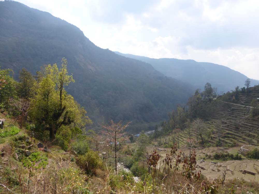 poonhill