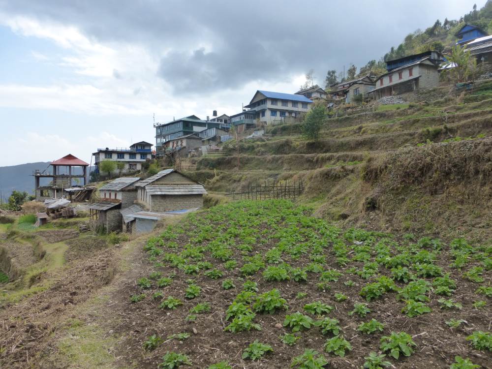 poonhill