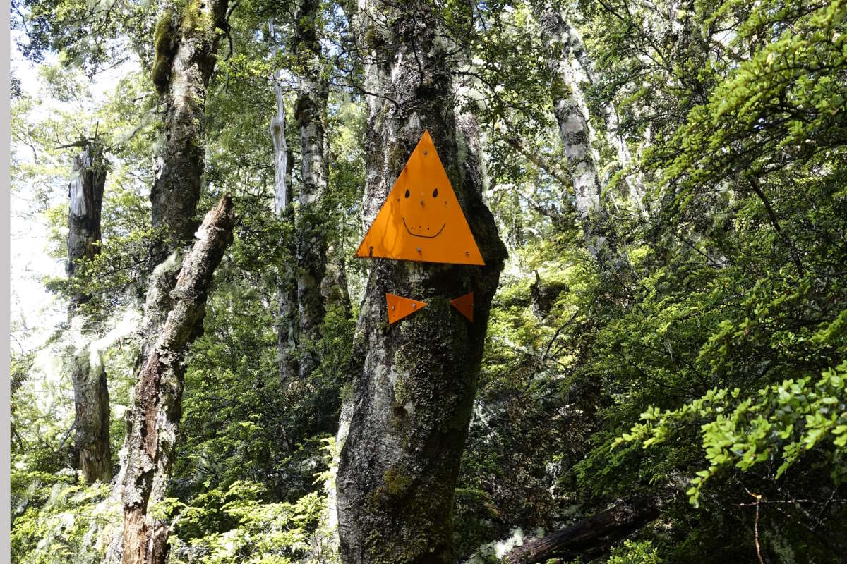 trail marker