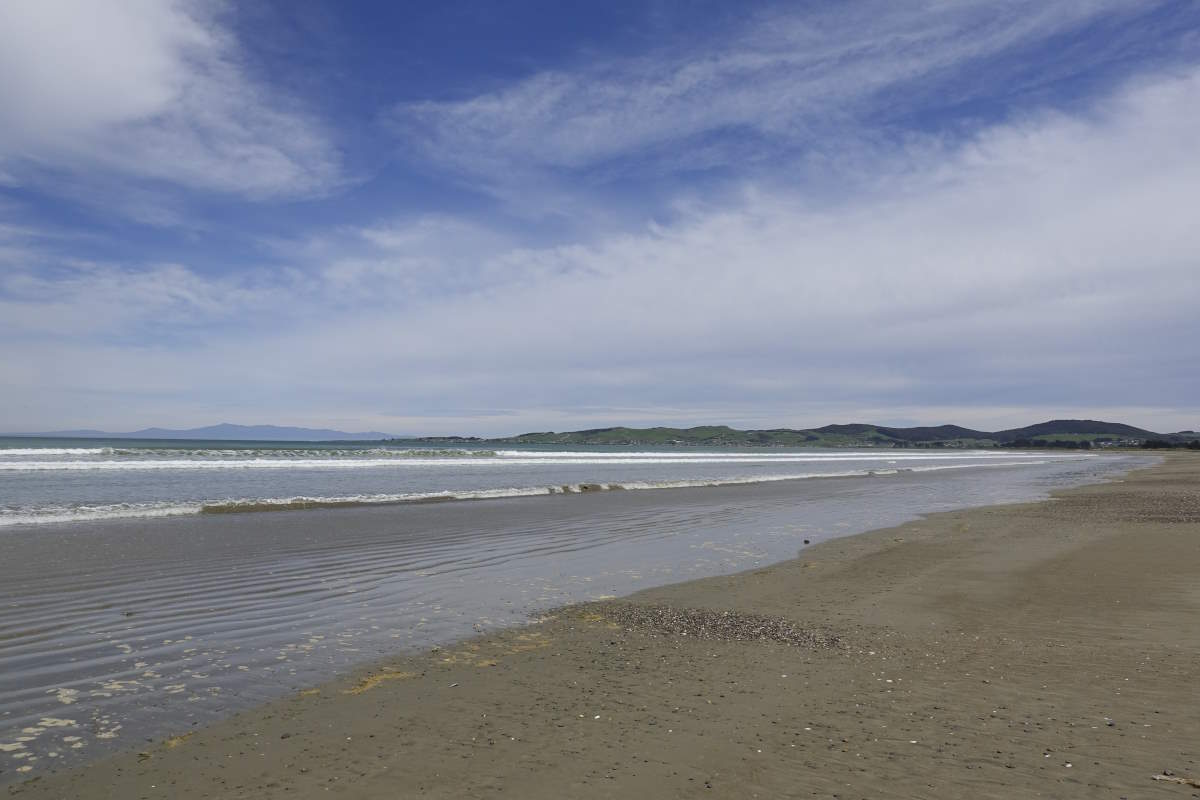Te Araroa