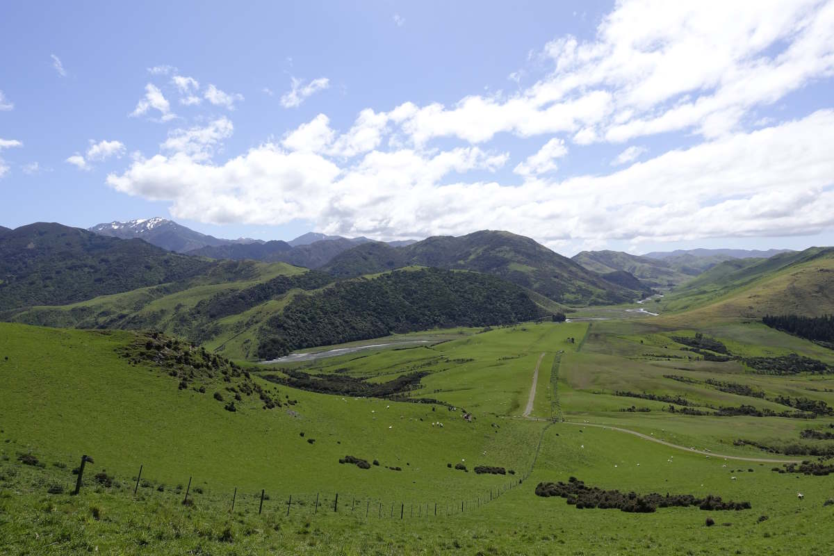 Te Araroa