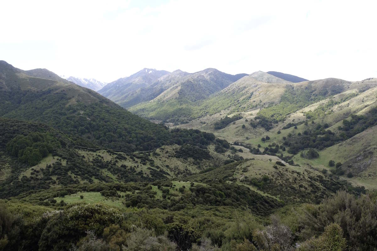 Te Araroa