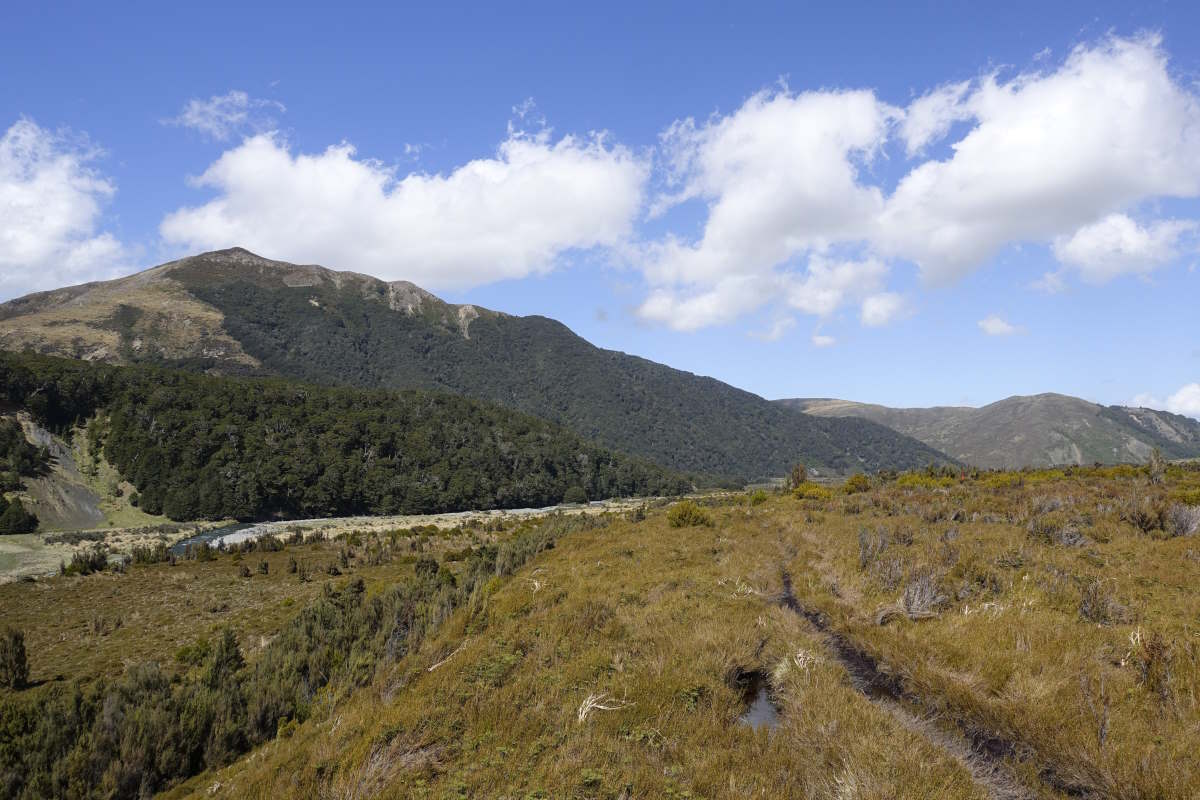 Te Araroa