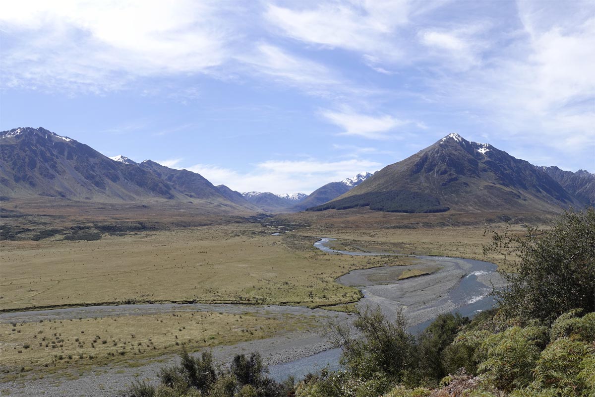 Te Araroa