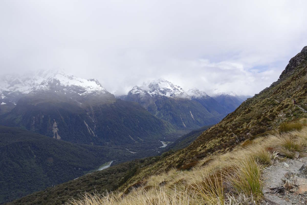 Te Araroa