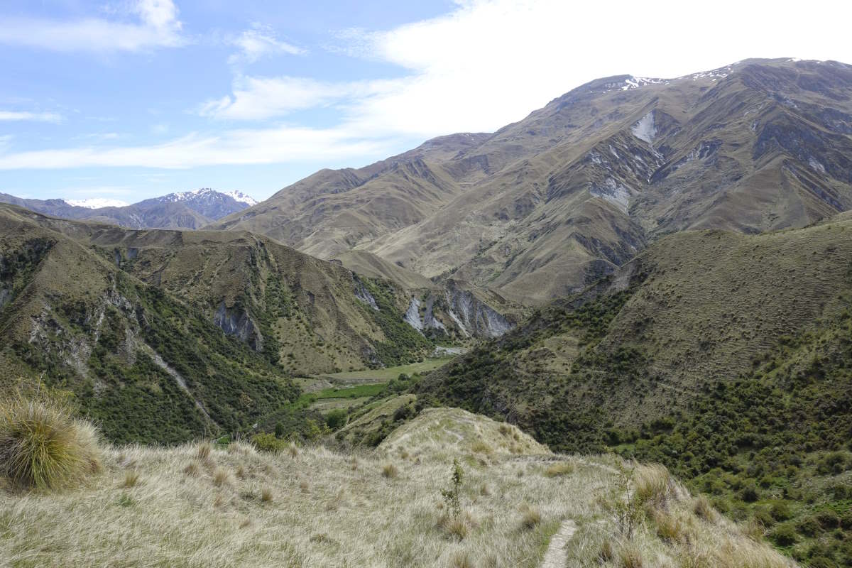 Te Araroa