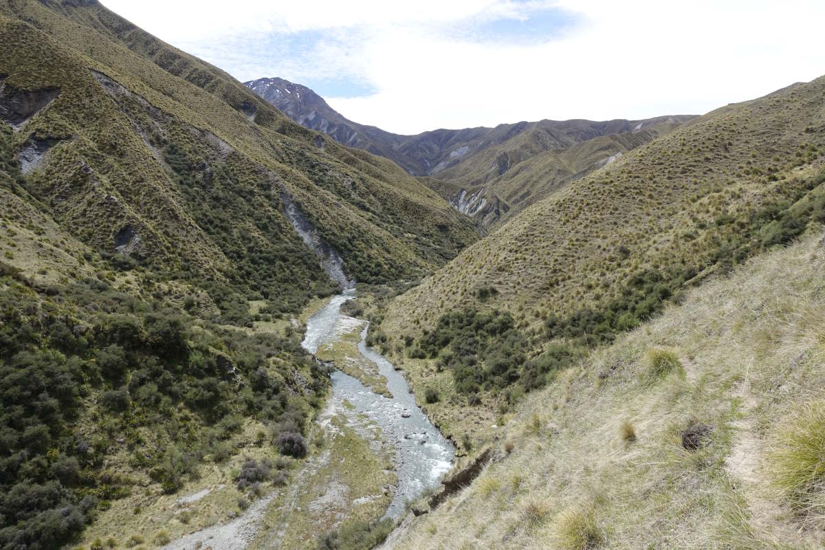 Te Araroa