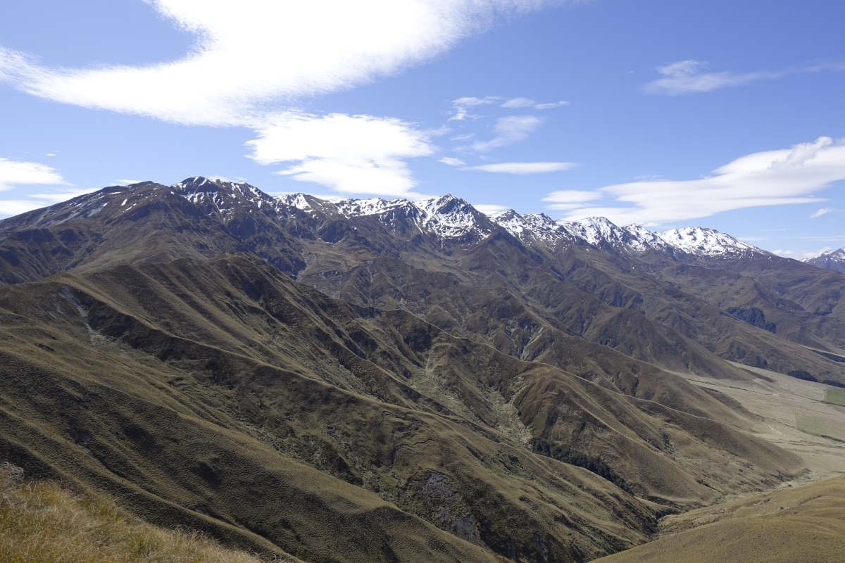 Te Araroa