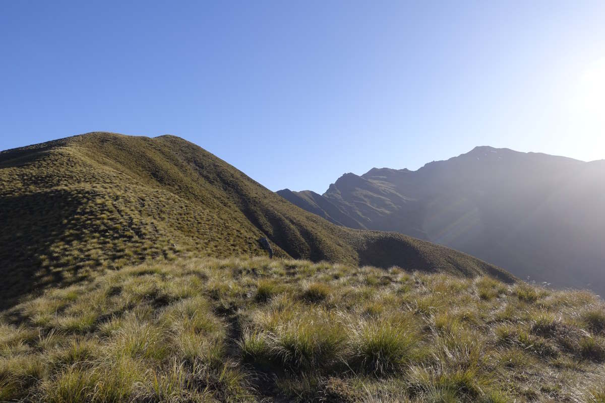 Te Araroa