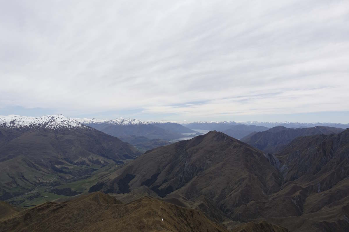 Te Araroa