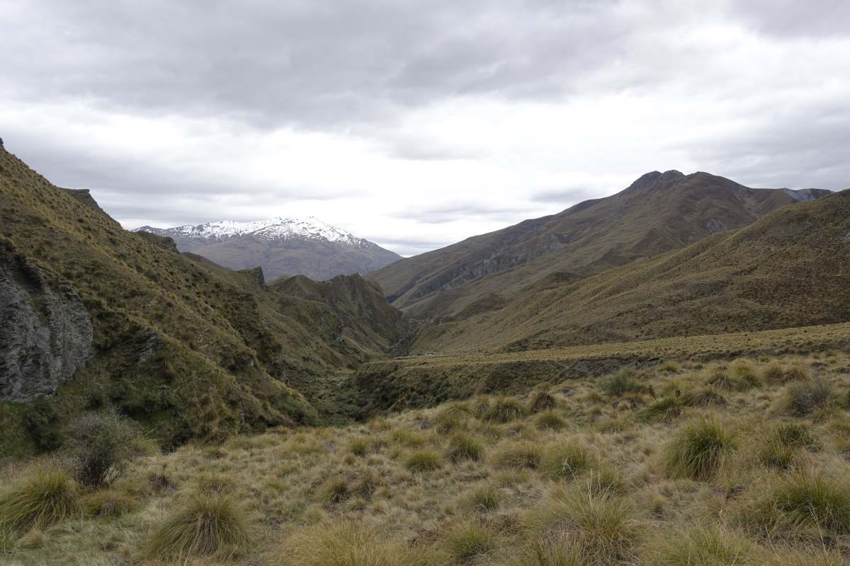 Te Araroa