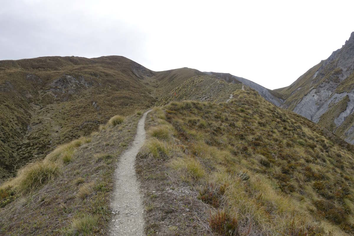 Te Araroa