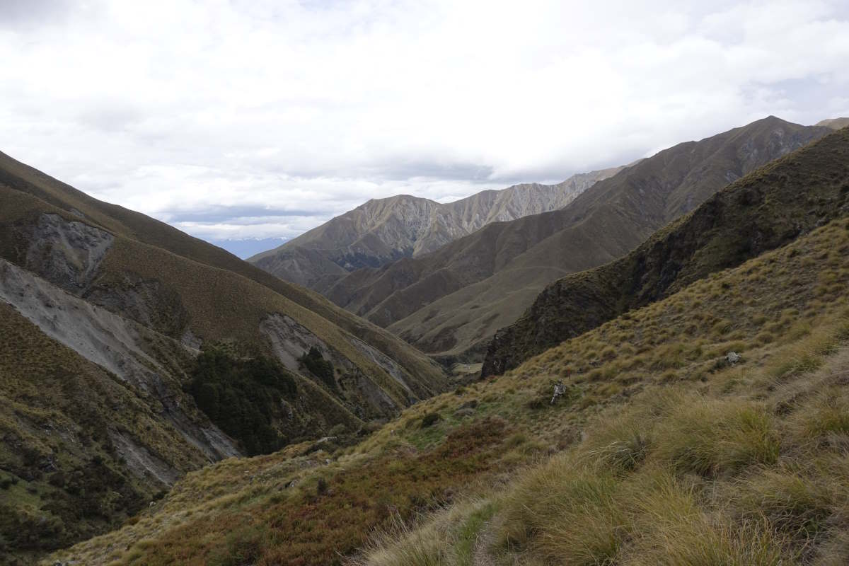 Te Araroa