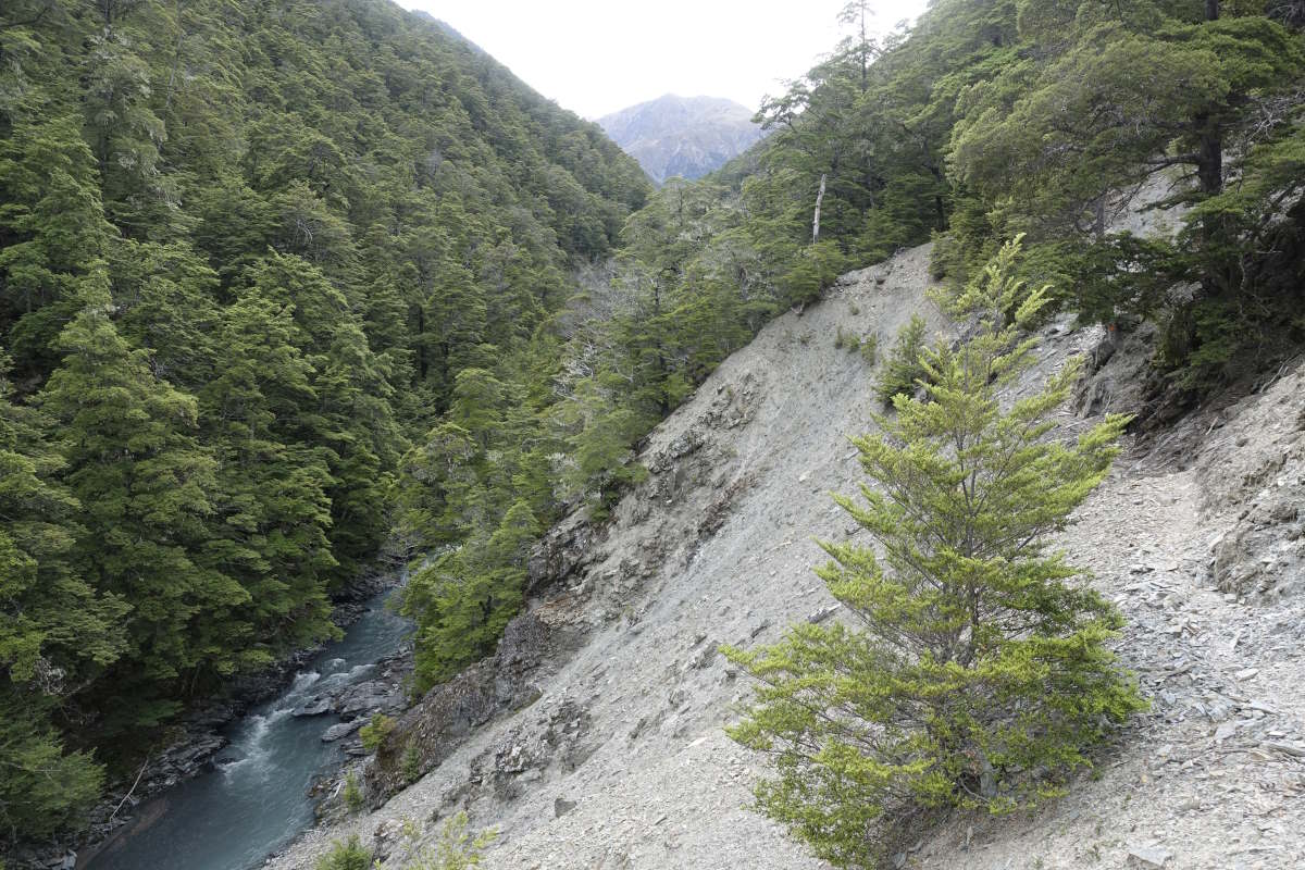 Te Araroa