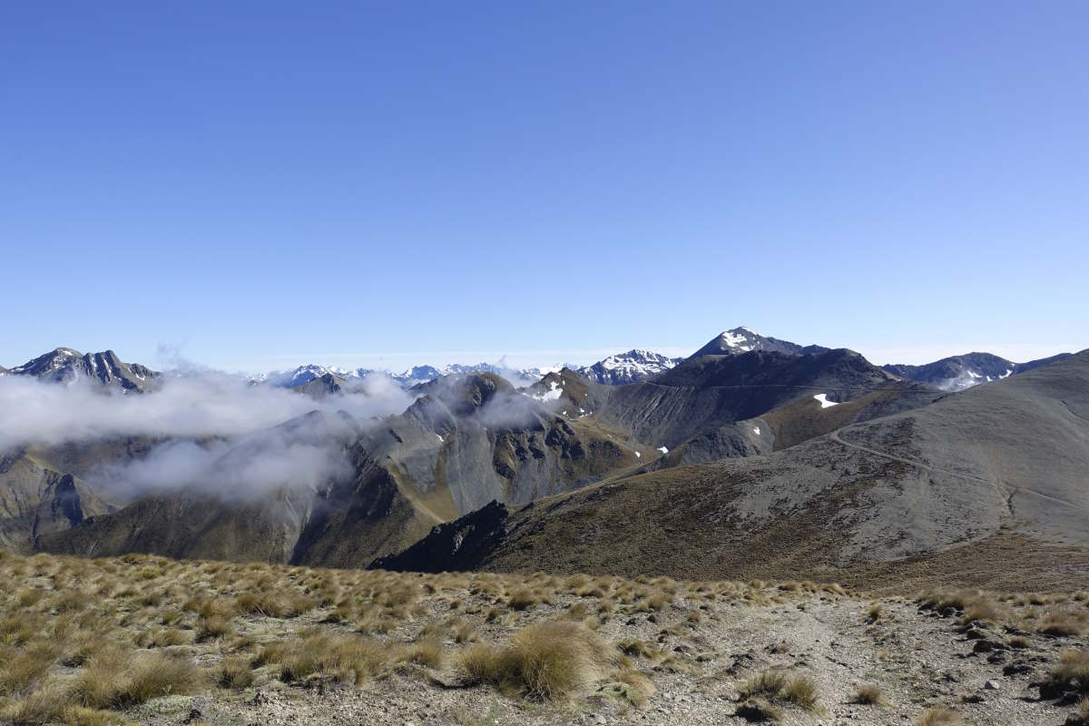 Te Araroa