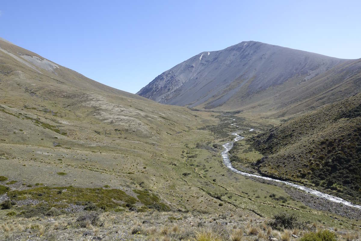 Te Araroa