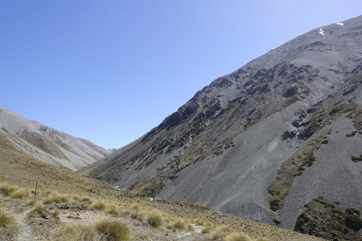 Te Araroa