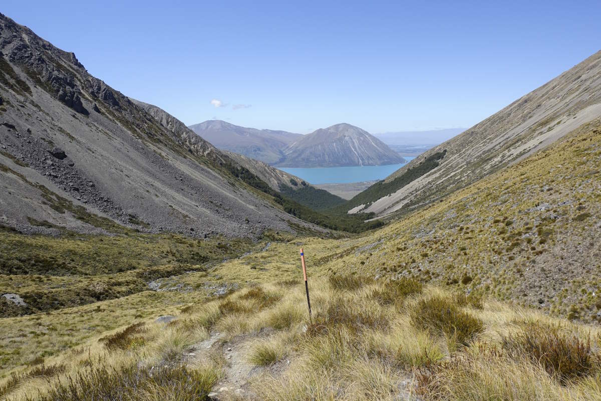 Te Araroa