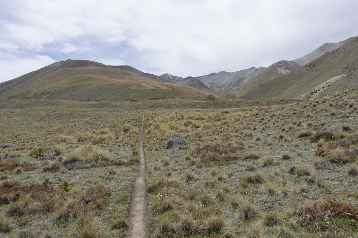 Te Araroa