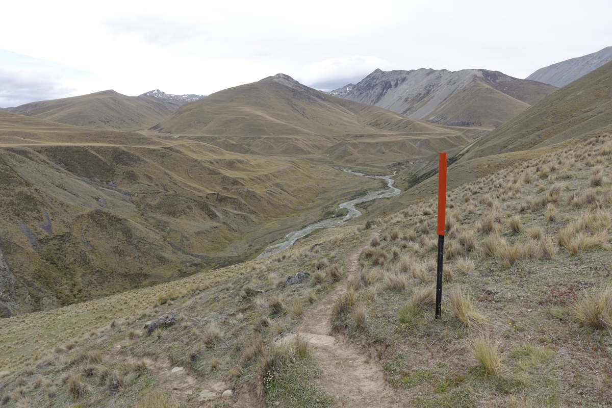 Te Araroa