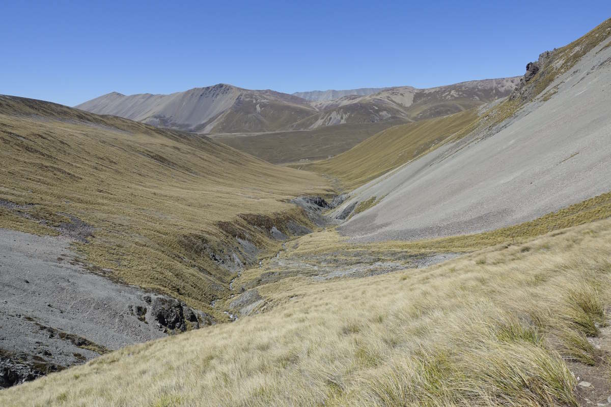Te Araroa