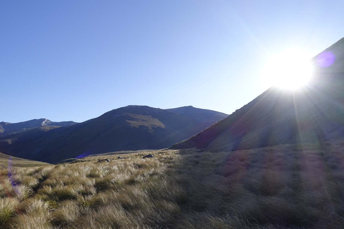 Te Araroa
