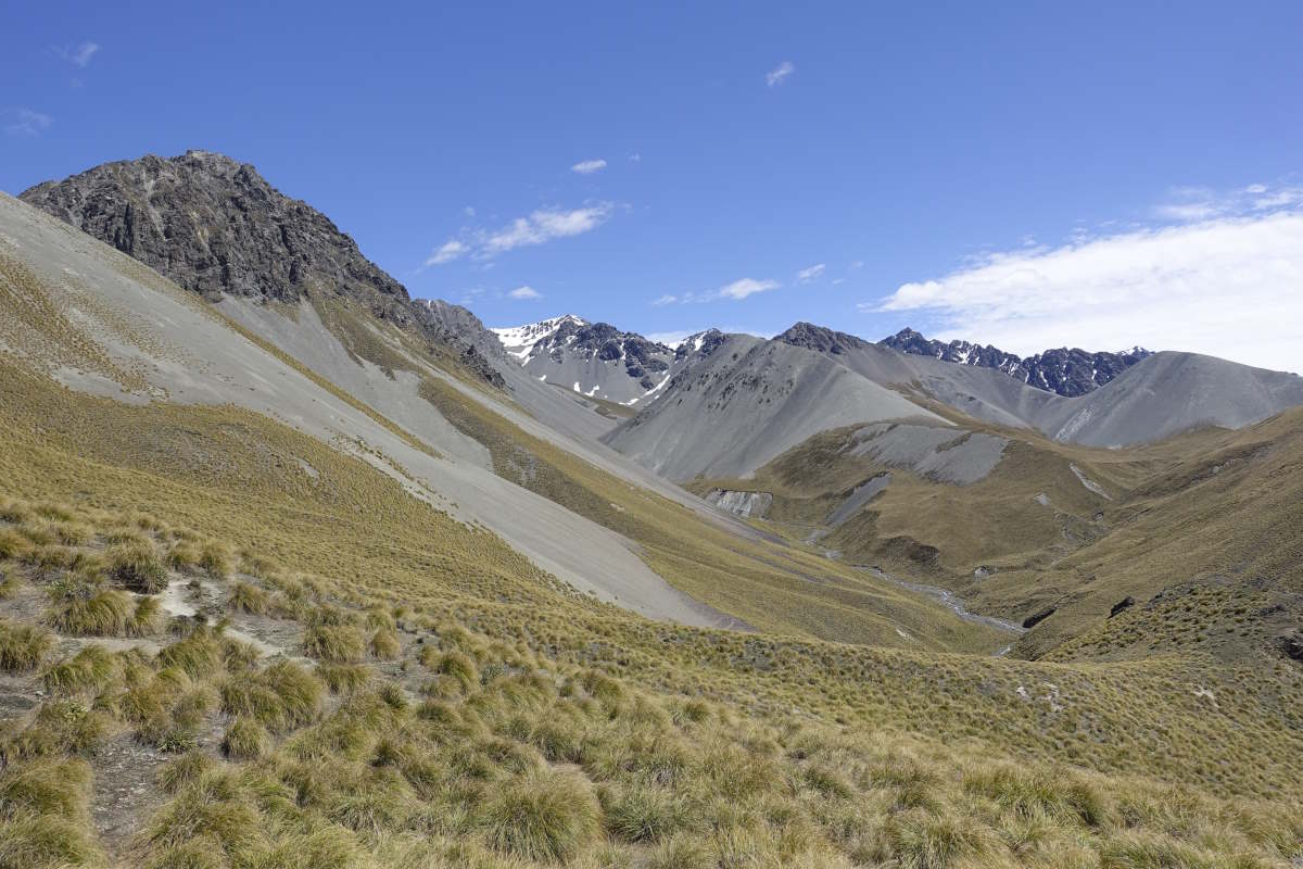 Te Araroa