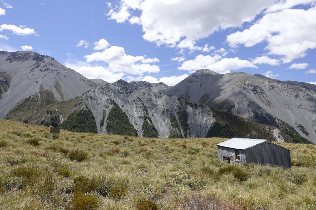 Te Araroa