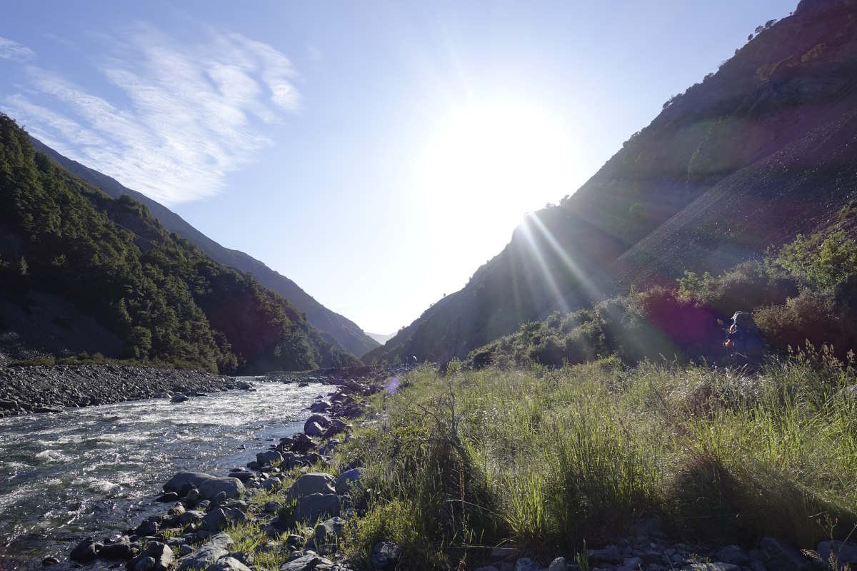 Te Araroa