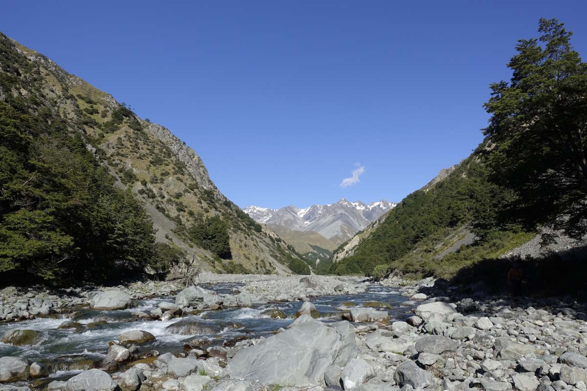 Te Araroa