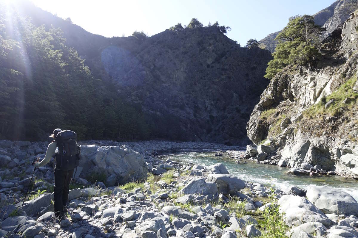 Te Araroa