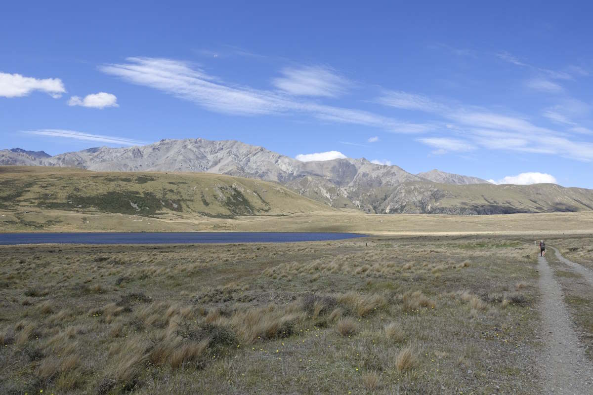 Te Araroa