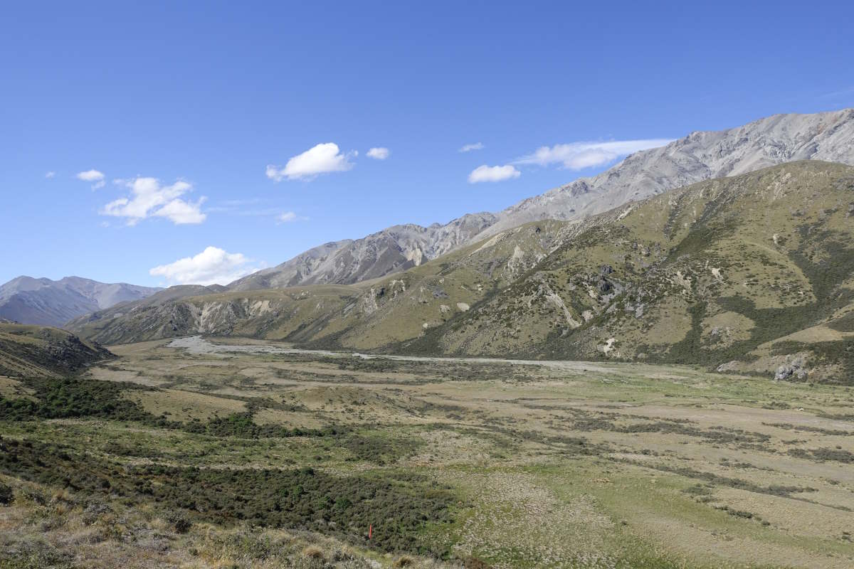 Te Araroa
