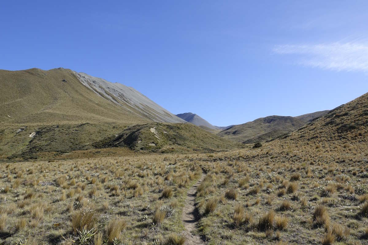 Te Araroa