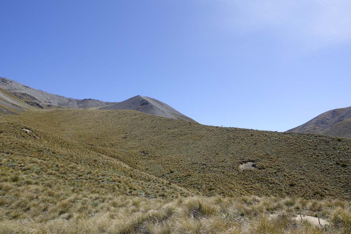 Te Araroa