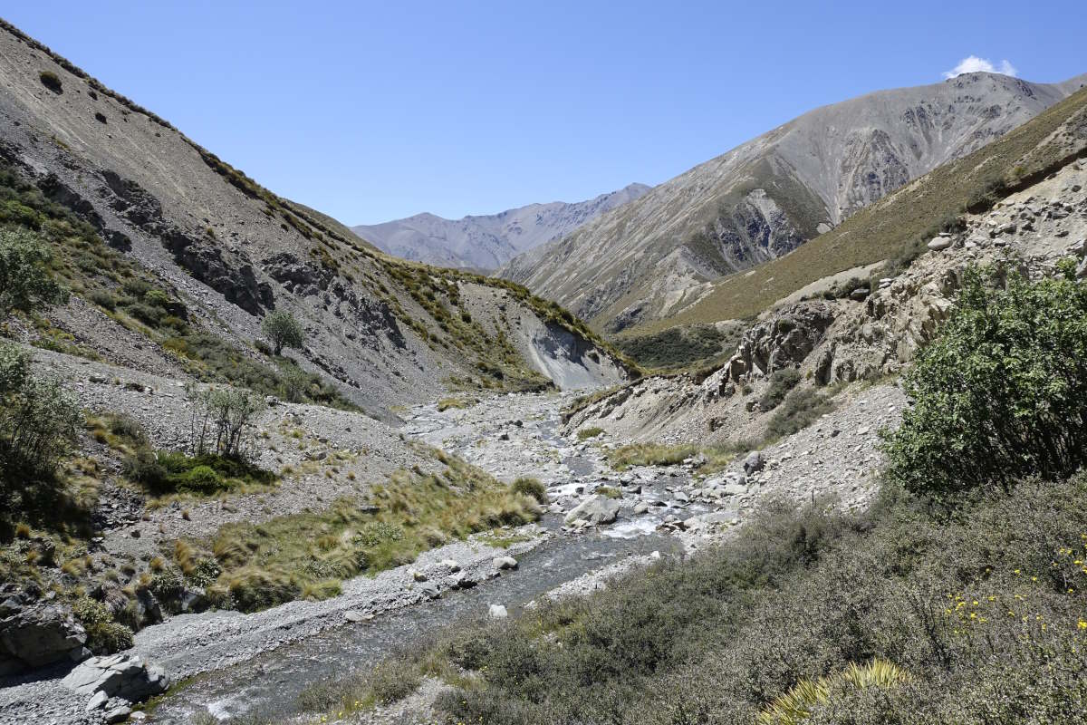 Te Araroa