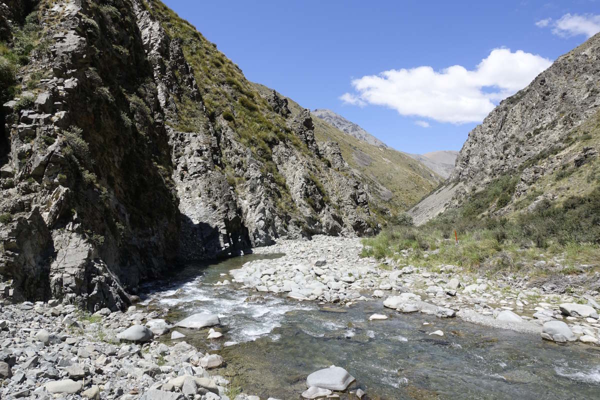 Te Araroa