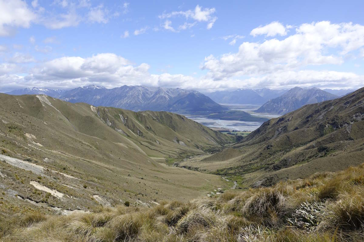 Te Araroa