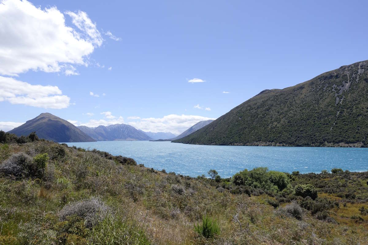 Te Araroa