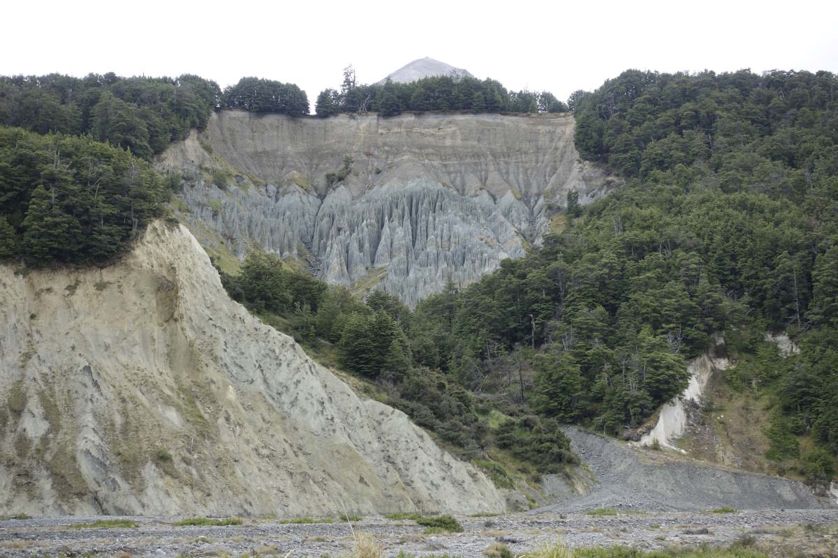 Te Araroa