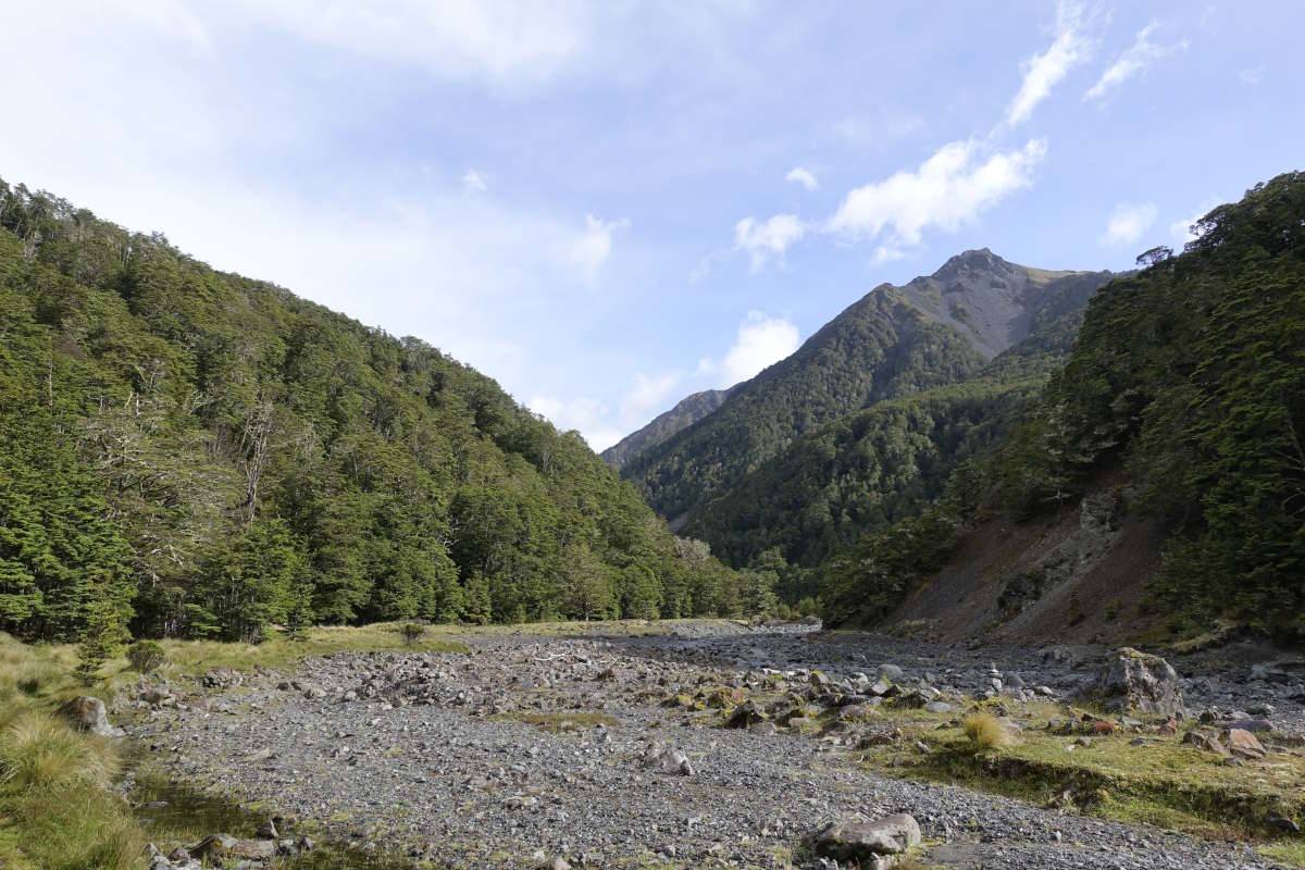 Te Araroa