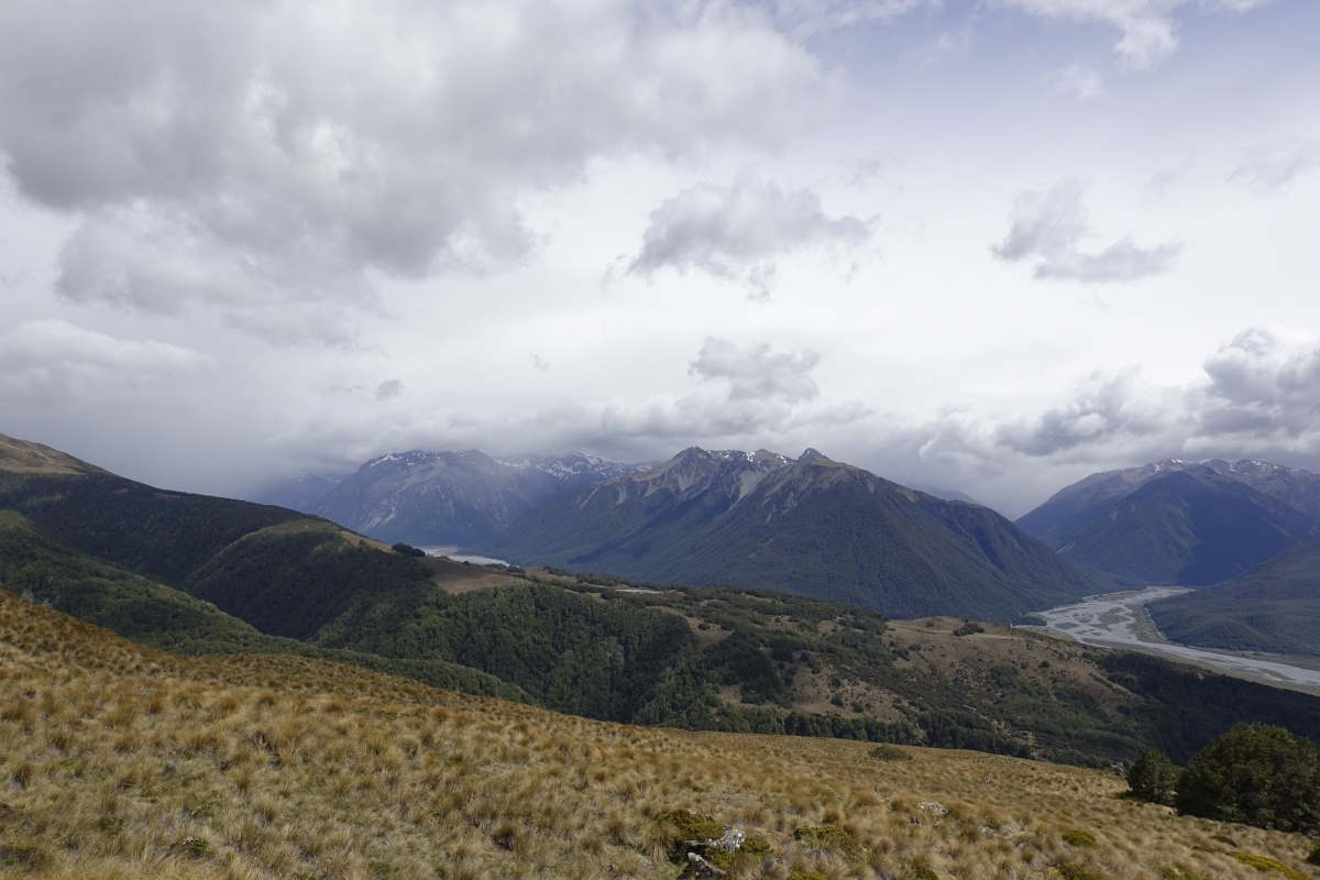 Te Araroa