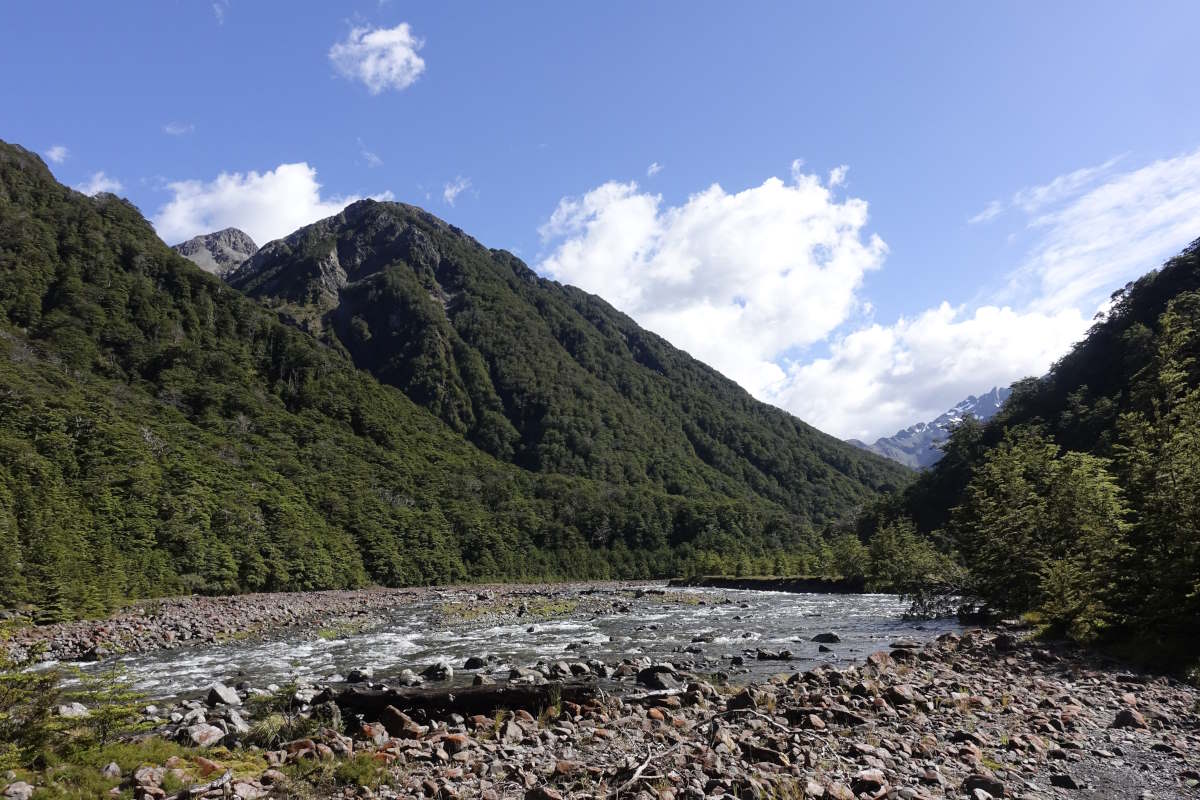 Te Araroa