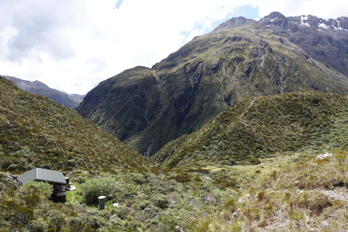 Te Araroa