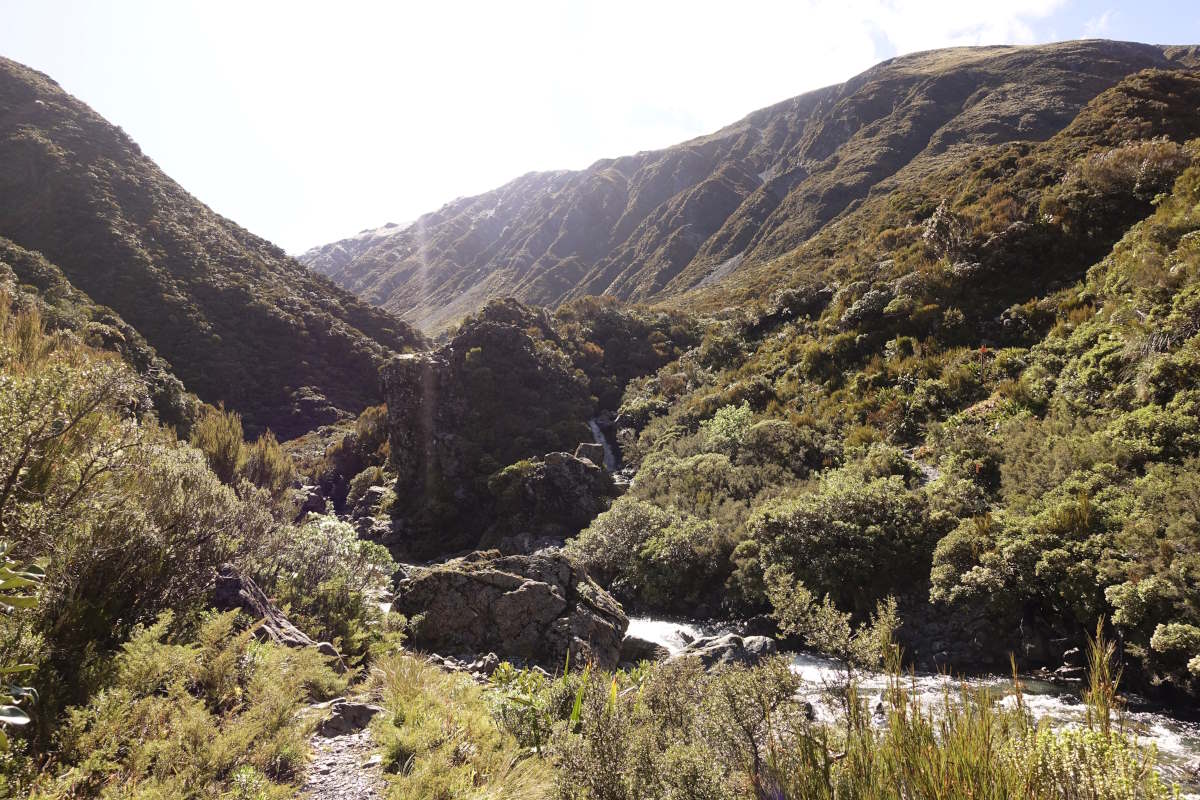 Te Araroa