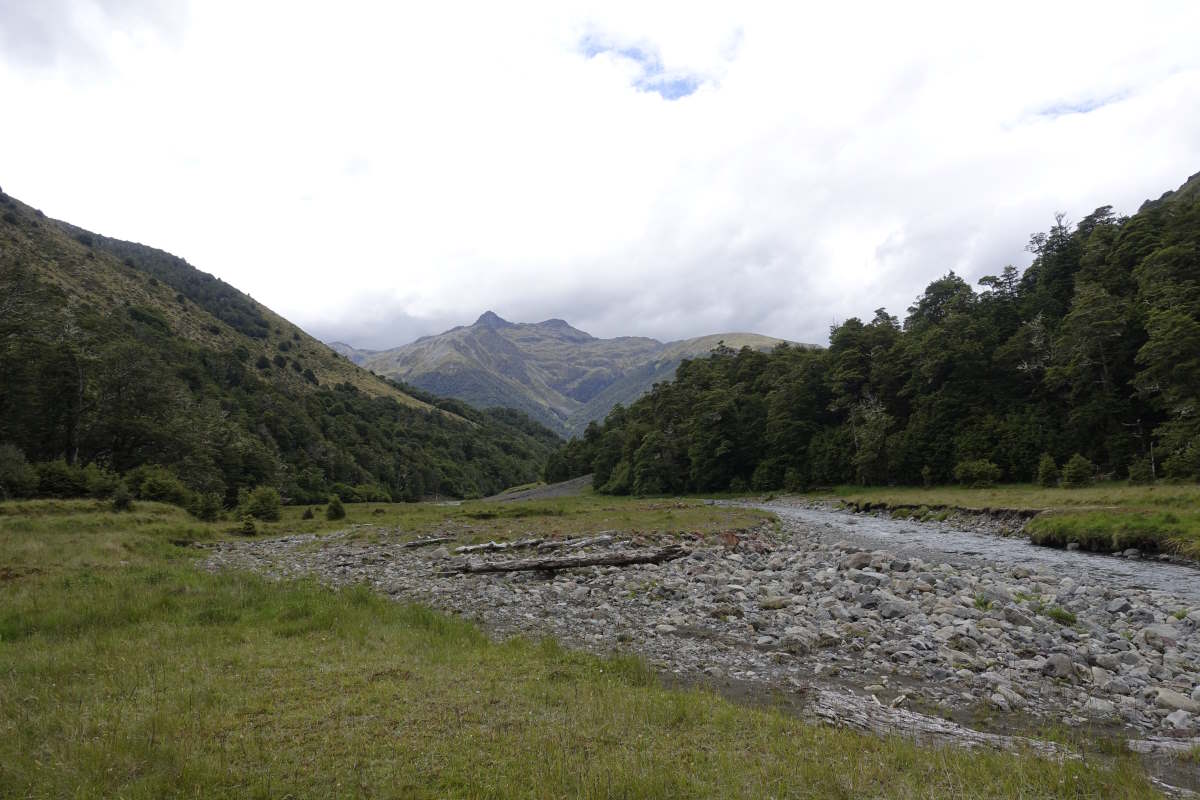 Te Araroa