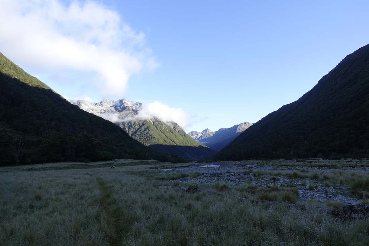 Te Araroa
