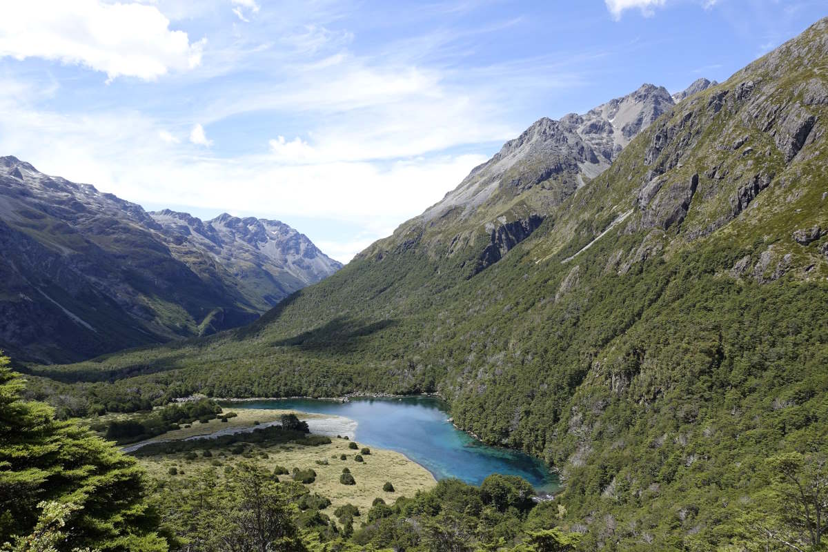Te Araroa