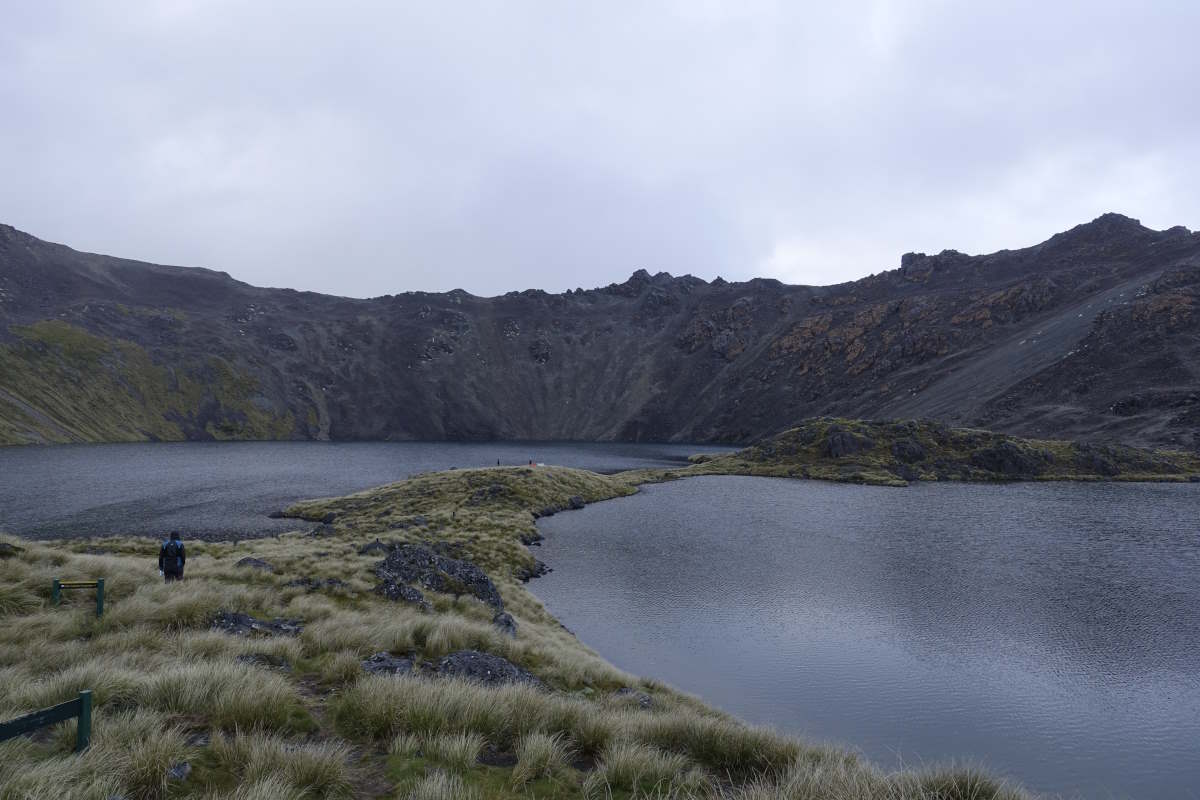 Te Araroa