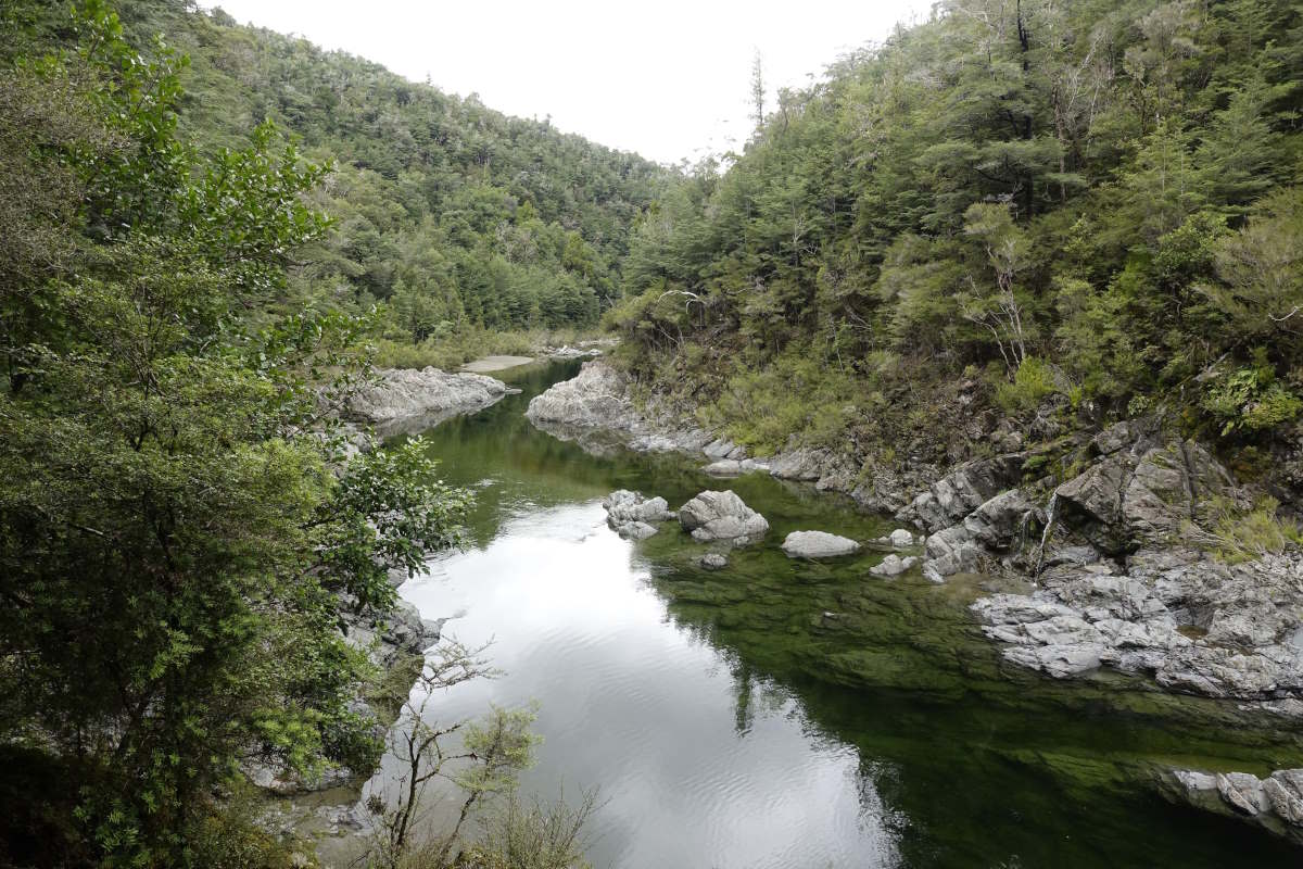 Te Araroa